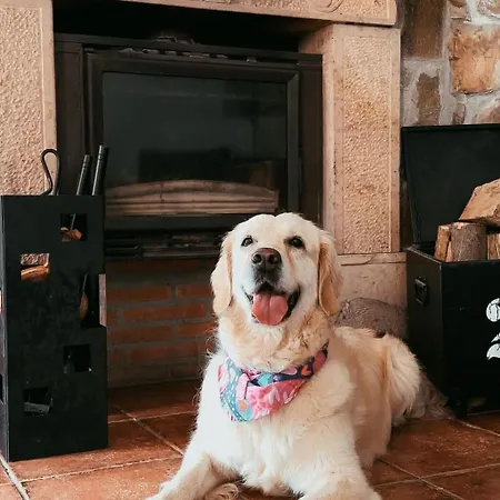 Jacuzzi- Kamin- Grill Und Spektakulaere Aussicht By Interhome Appartamento Proaza