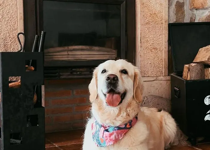 Jacuzzi- Kamin- Grill Und Spektakulaere Aussicht By Interhome Апартаменты Проаса